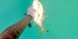 Charna Island - Part 3 of 4 - The Spearfishing