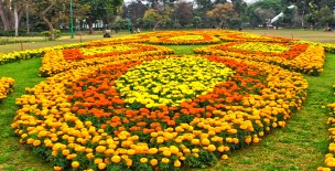 Faisalabad City - Old Lyallpur