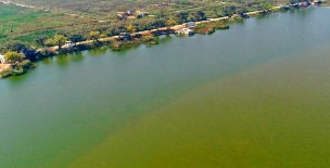 Haleji Lake - Thatta District