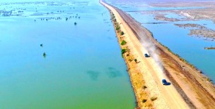 Manchar Lake - Dadu District